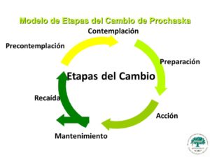 estadis canvi